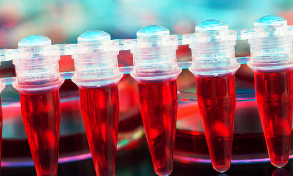 Komórki macierzyste to niewyspecjalizowane komórki zdolne do różnicowania się w inne typy komórek Komórki macierzyste to niewyspecjalizowane komórki zdolne do różnicowania się w inne typy komórek